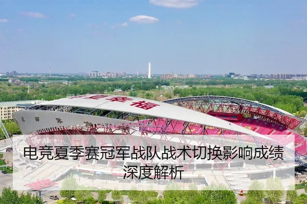 电竞夏季赛冠军战队战术切换影响成绩深度解析（HengDa）